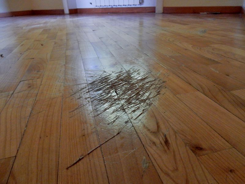 Damaged Floorboards
